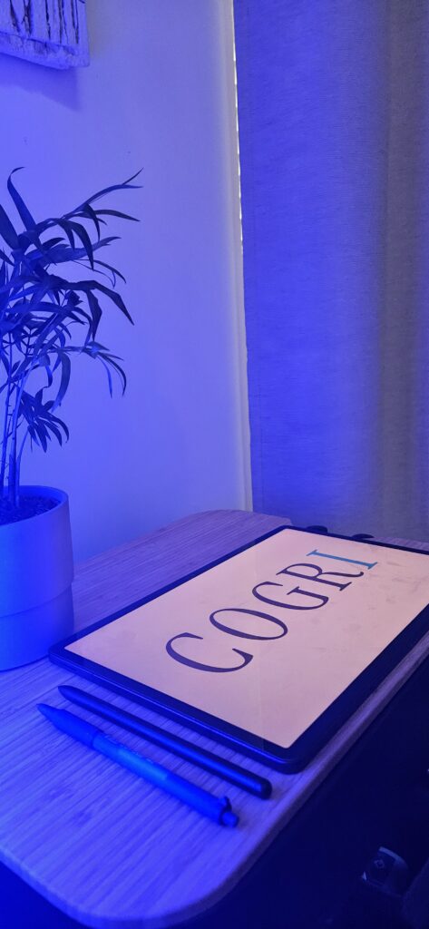 Ambiance du studio Cogri