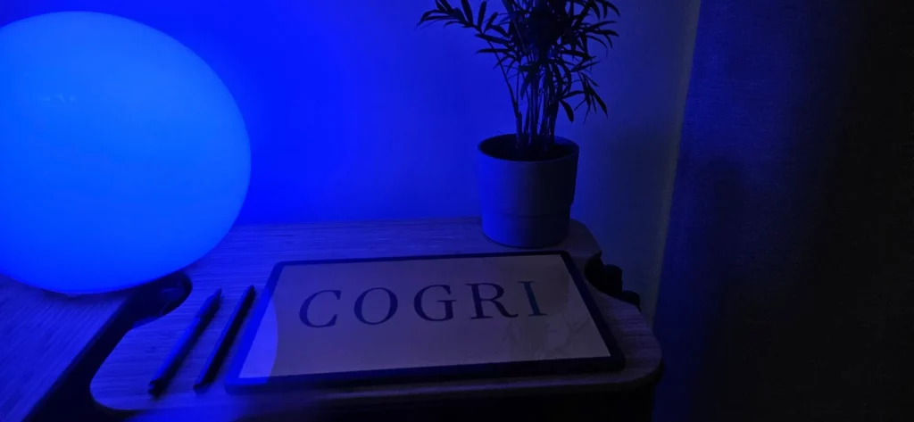 Ambiance du studio Cogri